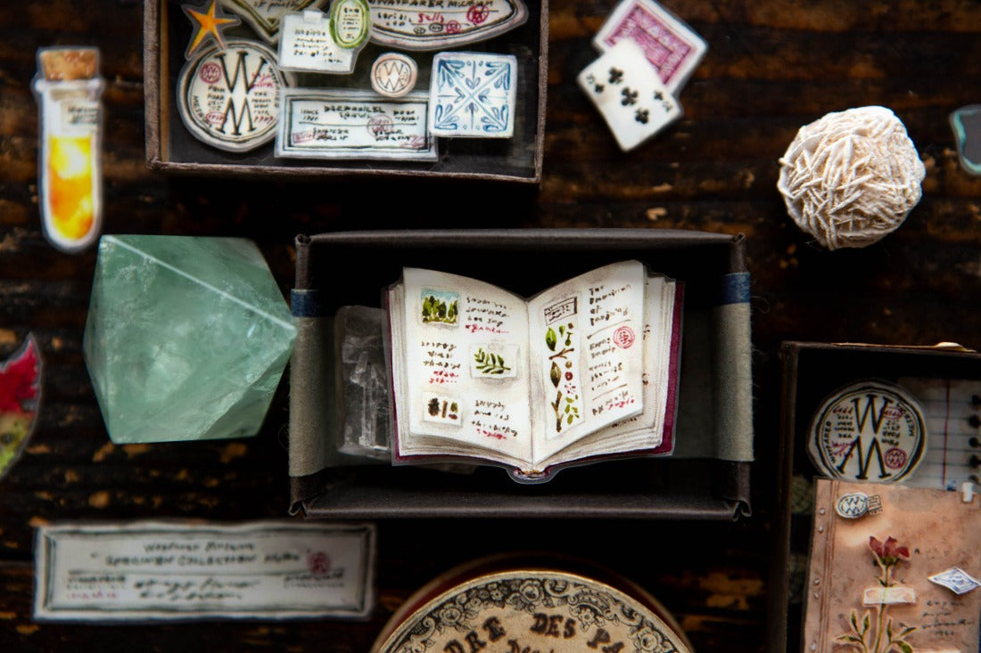 OURS Desk of Botanist PET Tape