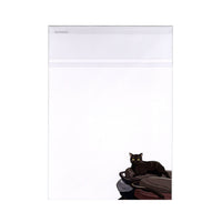 Point Chen - "Taiwan Street Alley & Black Cats" A5 Art Print