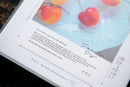 OURS 2027 Research Project Journal - The Reunion