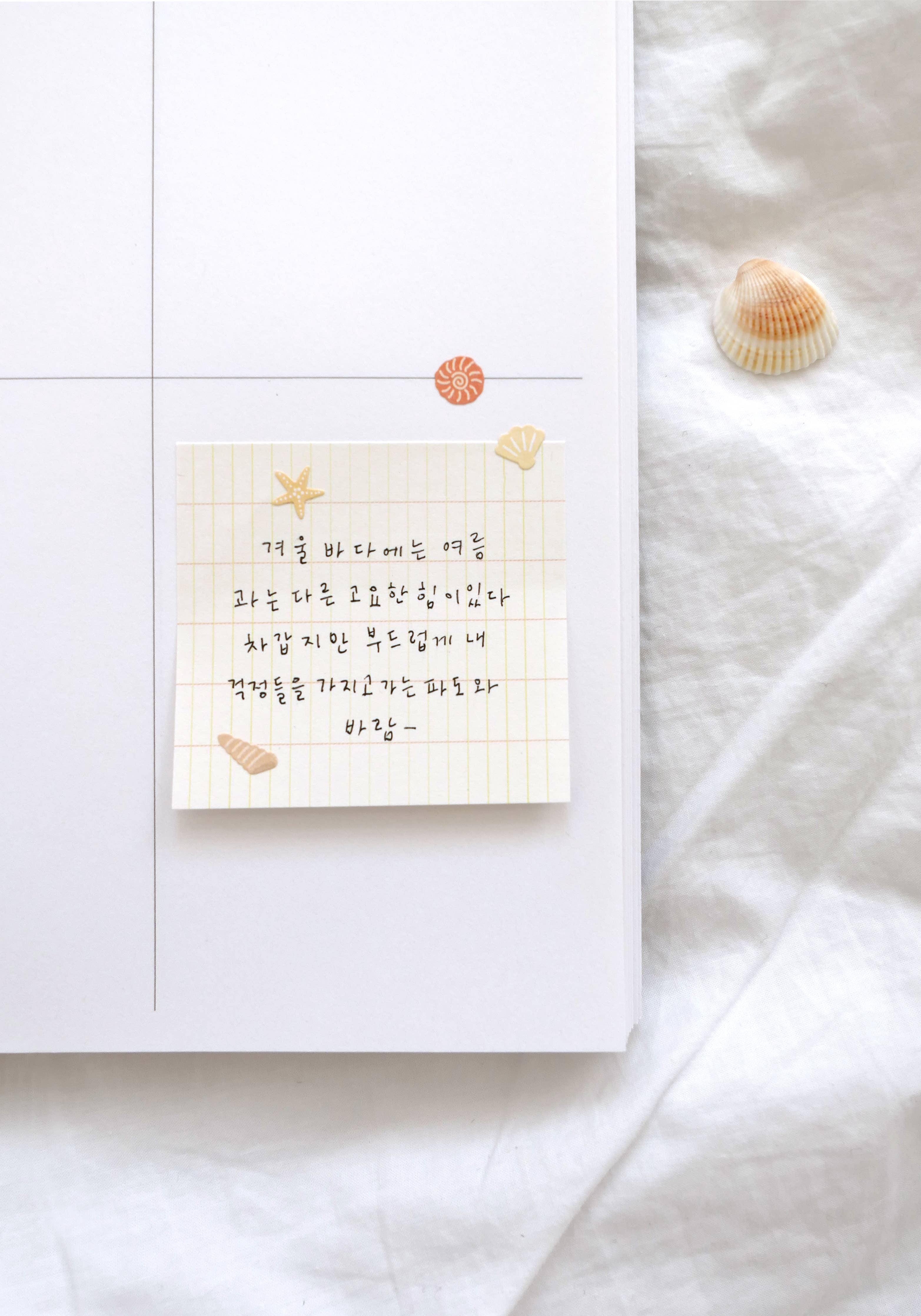 Notebook with handwritten text on a white surface with seashells