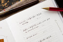 OURS 2027 Research Project Journal - The Reunion